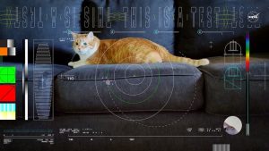 An orange and white tabby cat named Taters lying on a dark gray couch, featured in the video transmitted during NASA's Deep Space Optical Communications (DSOC) experiment. The image includes futuristic interface graphics overlaying the cat, with technical data, NASA logo, and colorful test patterns representing laser communication diagnostics.